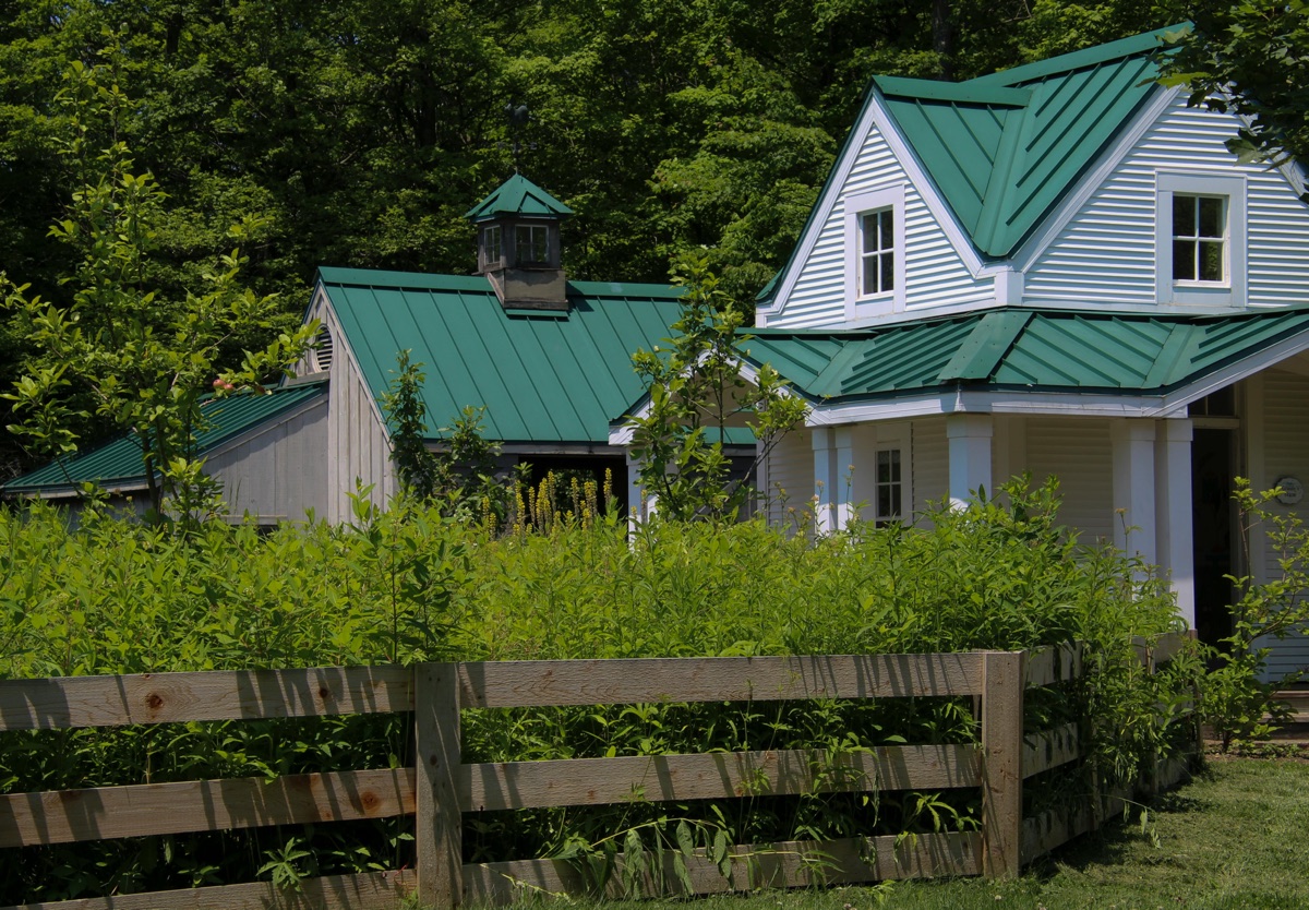 A Pacific Northwest cottage with a new green standing-seam metal roof set against a wooded background.